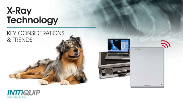 Veterinary X-Ray Technology blog header featuring a dog alongside medical equipment