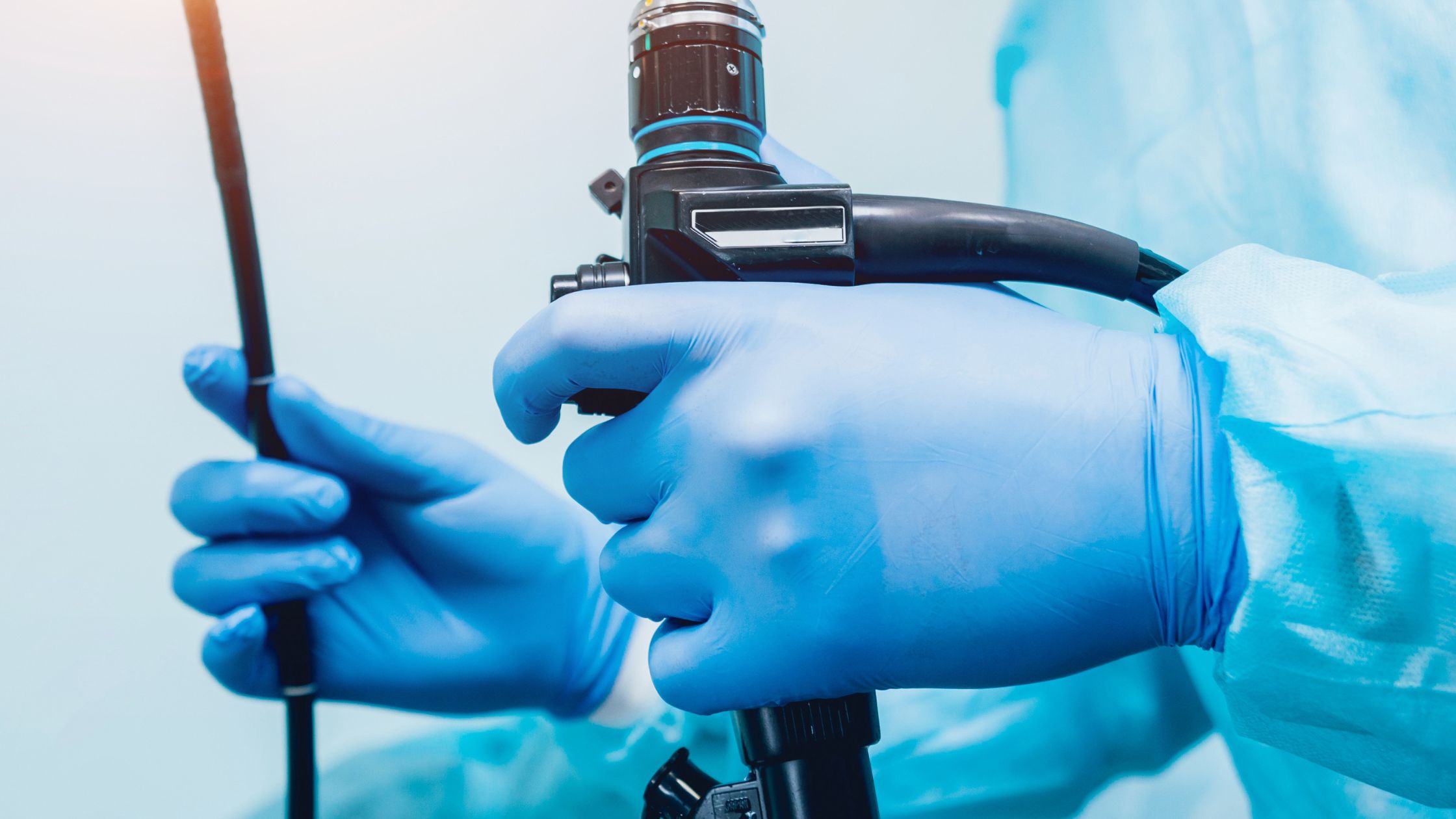 Hand holding a veterinary endoscope