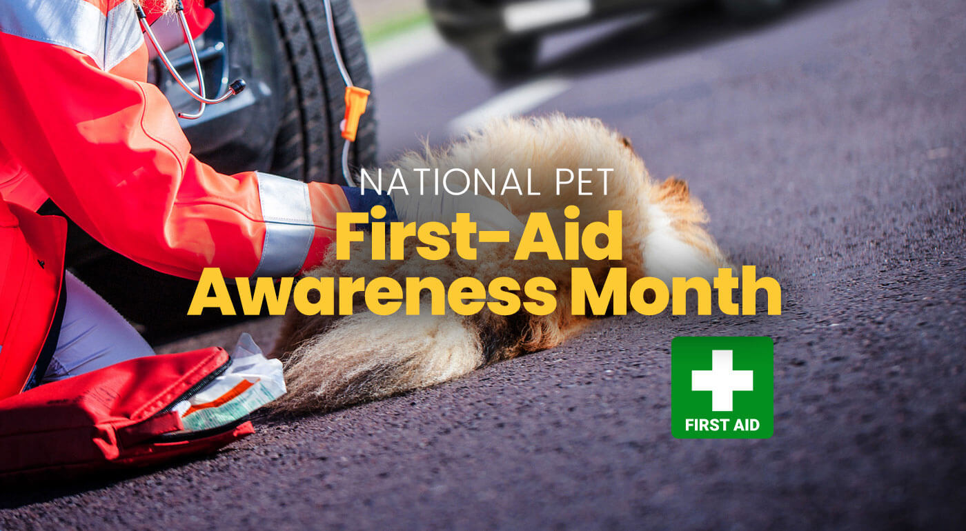 National Pet First-Aid Awareness Month with a dog receiving roadside medical attention