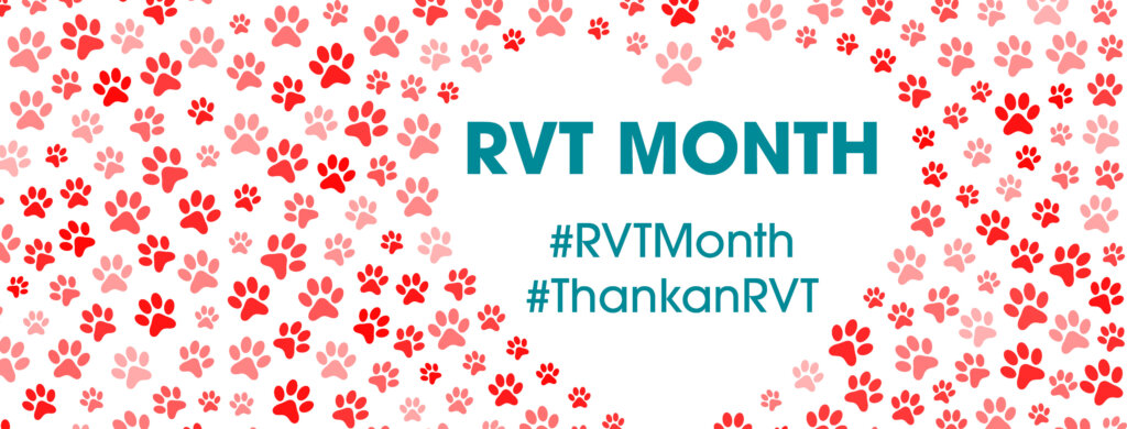 Intriquip RVT Month Headers6