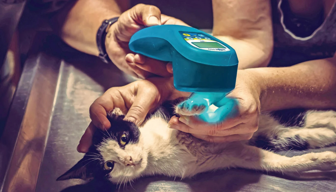 MRM ActiVetPro Image