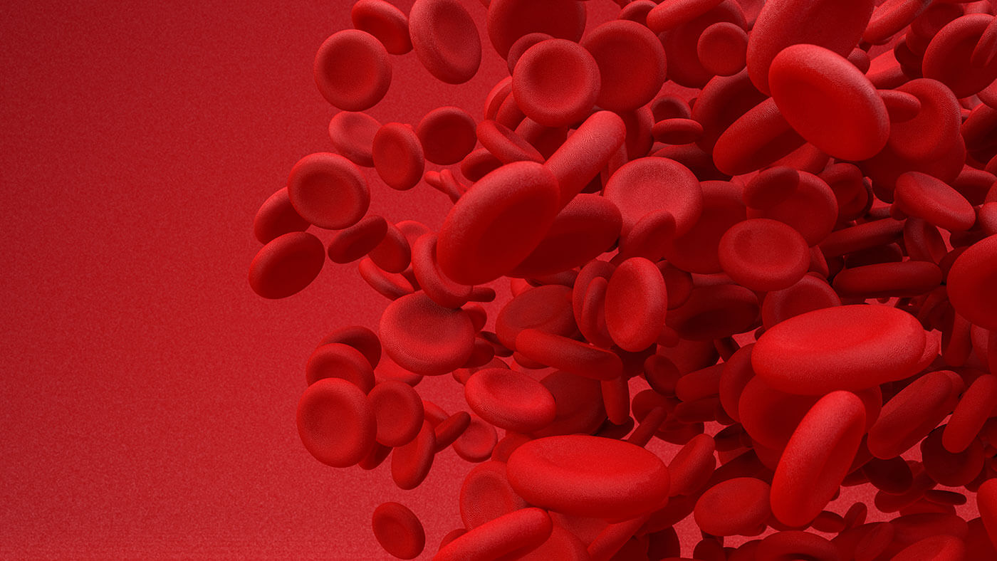 Close-up view of red blood cells highlighting veterinary pulse oximetry importance