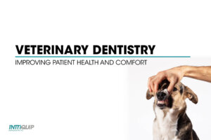 blog header veterinary dentistry