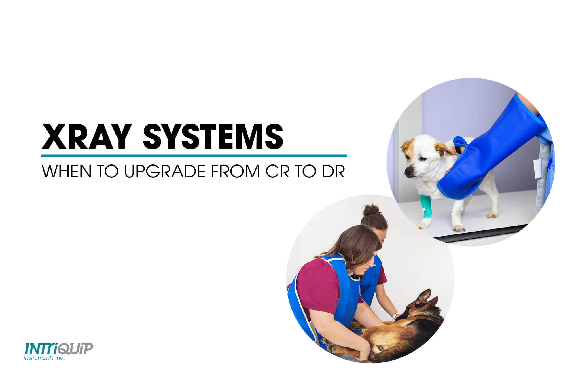 blog upgrade xray