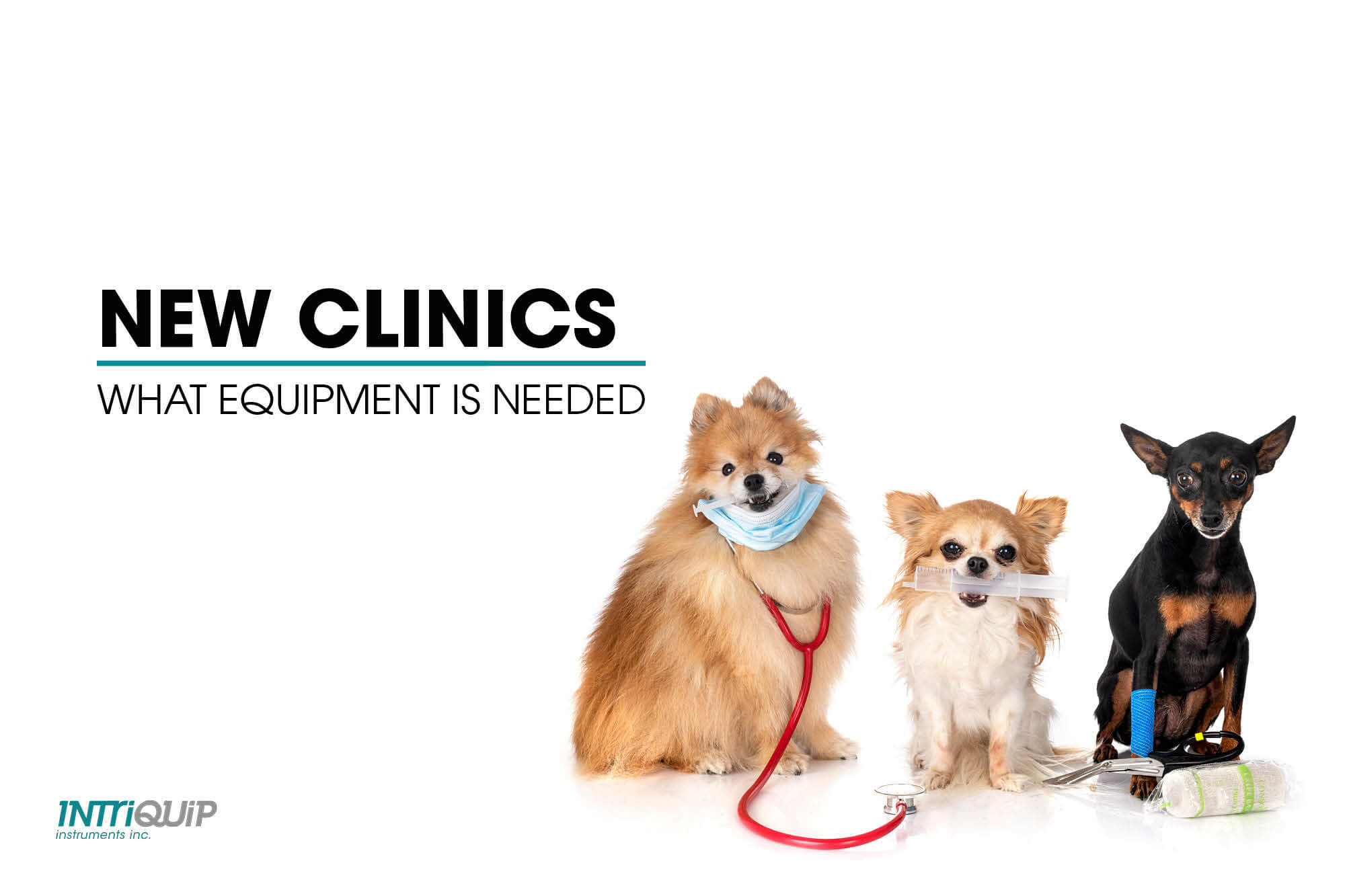 What equipment is needed for a Veterinary clinic? | Intriquip