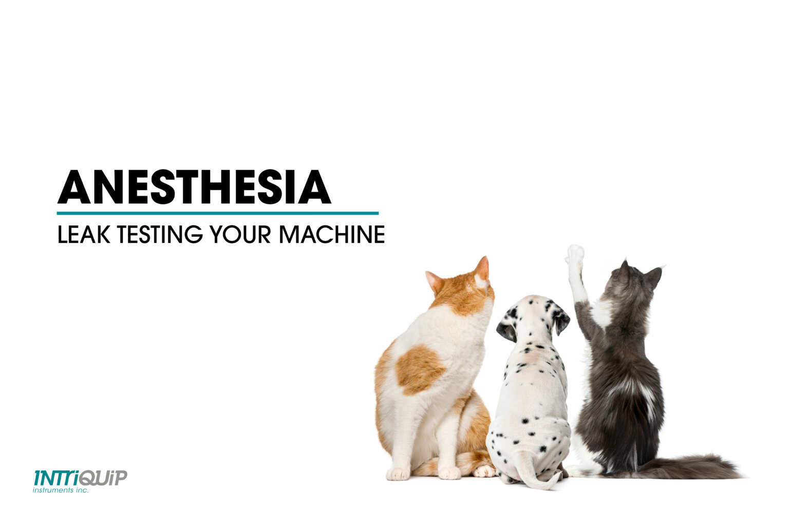 How To Leak Test Your Anesthesia Machine Intriquip