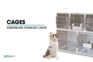 blog assemble stainless steel cages