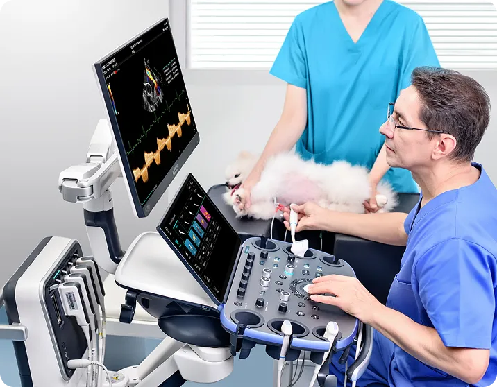 Avoiding Common Pitfalls in Selecting Veterinary Diagnostic Tools: A Guide for Clinics 9 featured image 1760126414