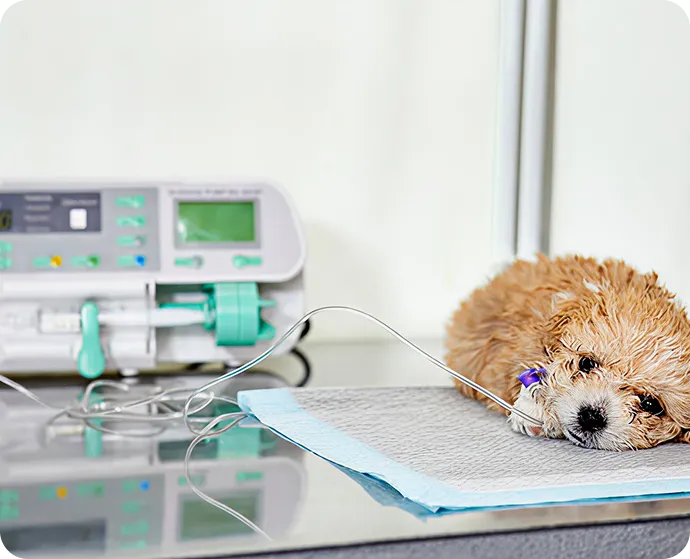 featured image 1767020472