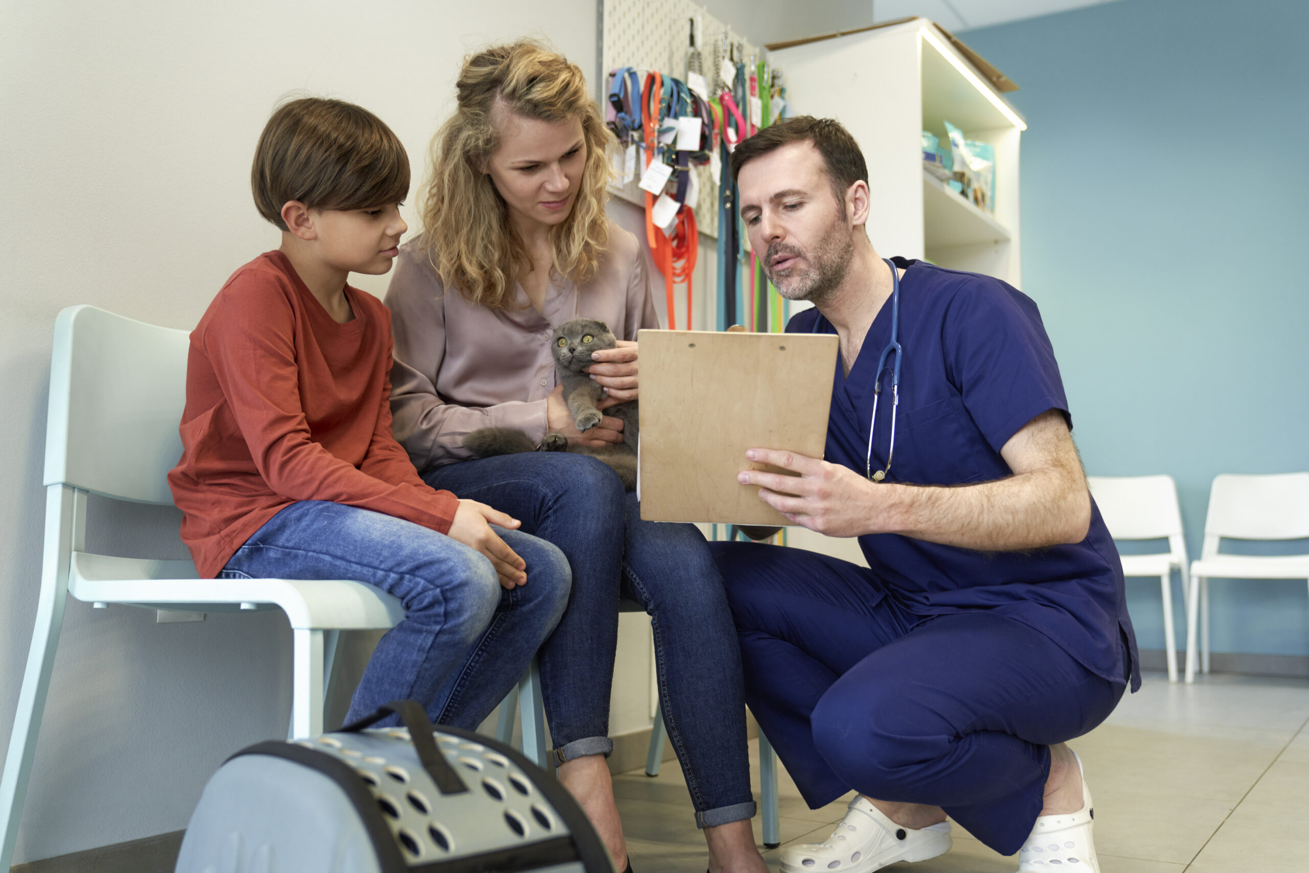 featured image 1767643270 scaled