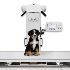 Tricolor puppy sitting on a medical examination table with medical equipment and a control panel overhead