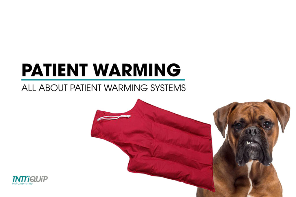 vet patient warming