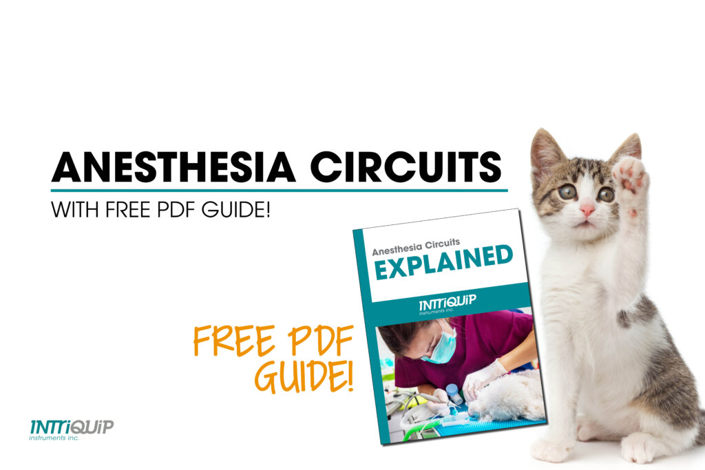 anesthesia circuits guide
