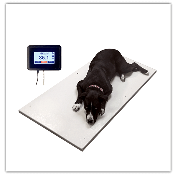 Veterinary Floor Scale SRV 957X Series | Intriquip