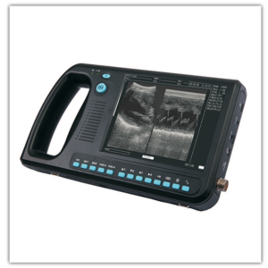 wed-3000-ultrasound